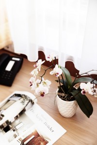 blume-tisch-zimmer-hotel-burgmeier-dachau